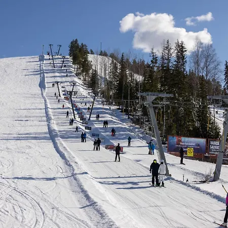 Luksushuvila Himoksen Timantti Διαμέρισμα *