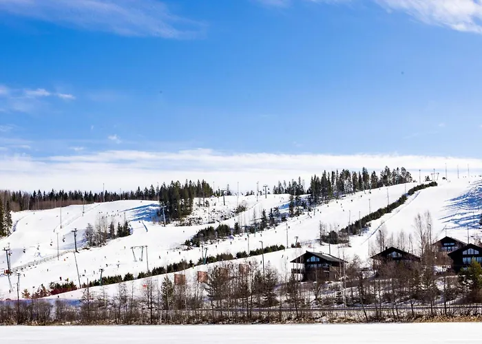 Luksushuvila Himoksen Timantti * Himos